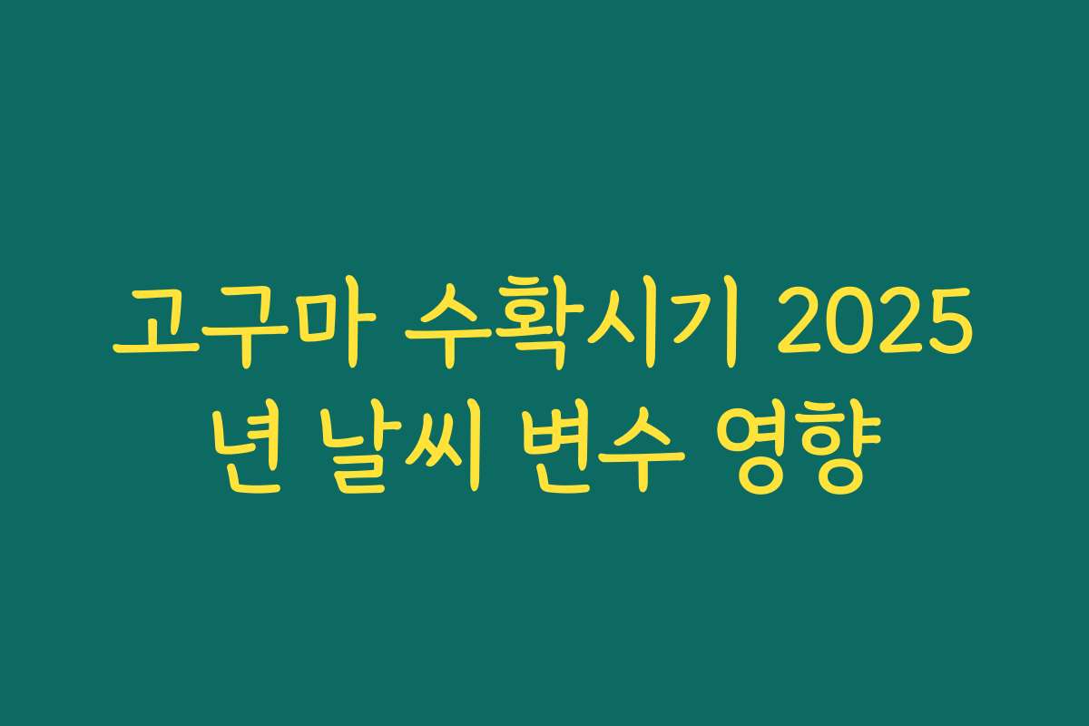 고구마 수확시기 2025년 날씨 변수 영향