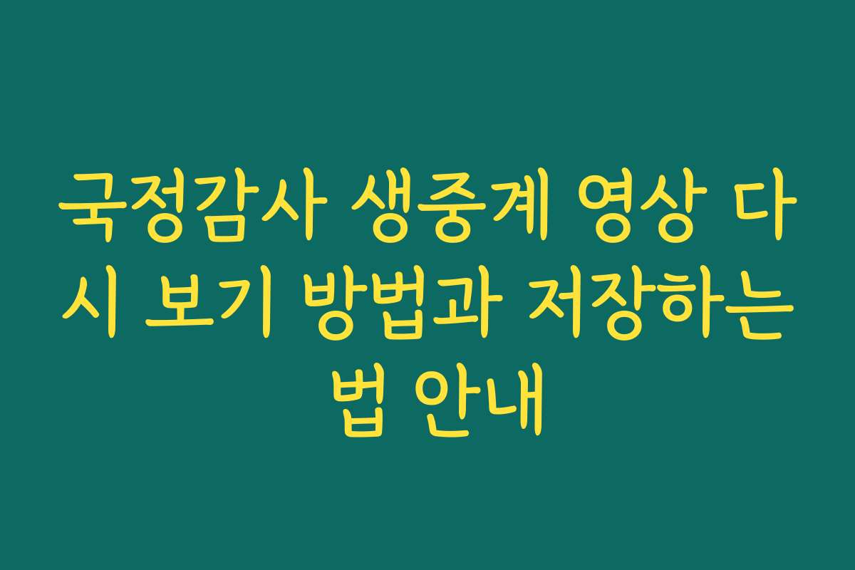 국정감사 생중계 영상 다시 보기 방법과 저장하는 법 안내