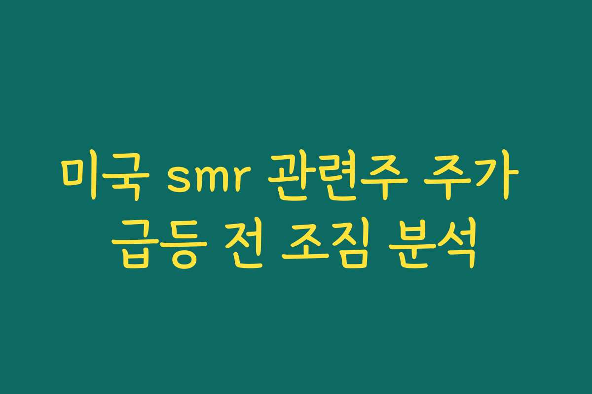 미국 smr 관련주 주가 급등 전 조짐 분석