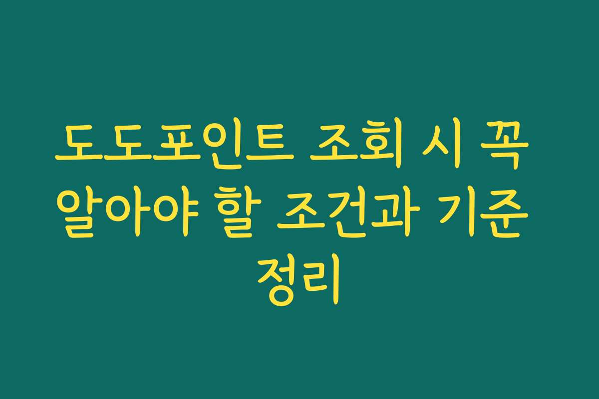 도도포인트 조회 시 꼭 알아야 할 조건과 기준 정리