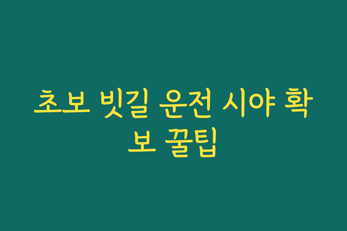 초보 빗길 운전 시야 확보 꿀팁