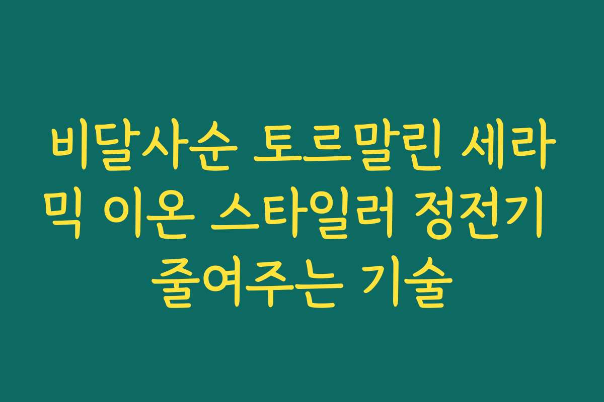 비달사순 토르말린 세라믹 이온 스타일러 정전기 줄여주는 기술 비달사순 토르말린 세라믹 이온 스타일러 정전기 줄여주는 기술
