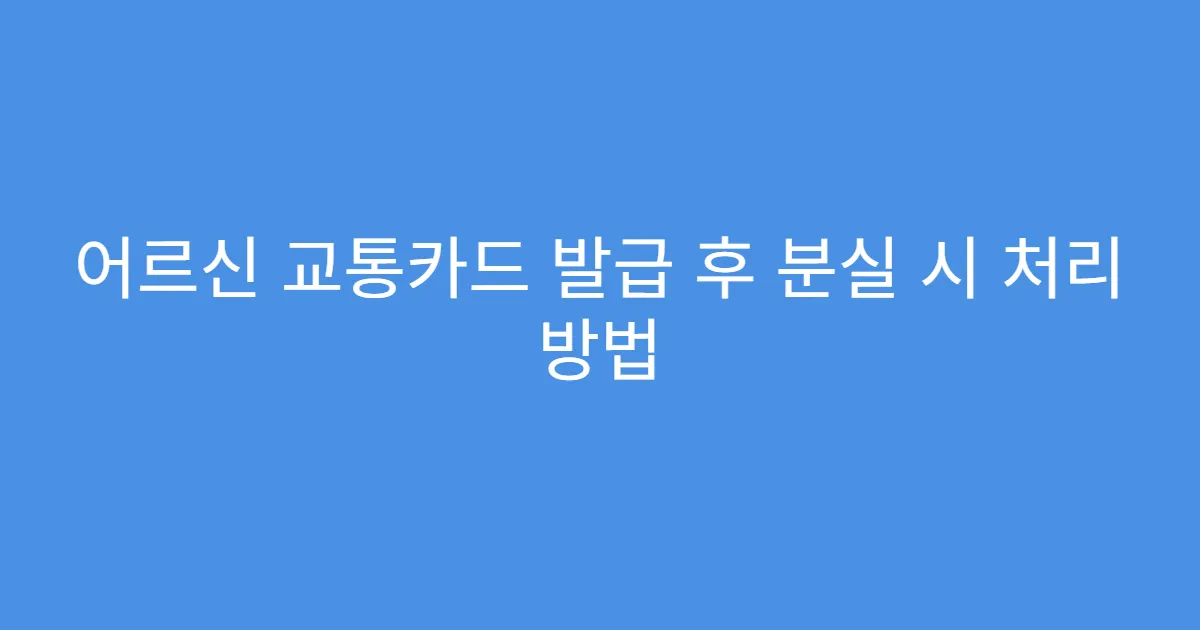 어르신 교통카드 발급 후 분실 시 처리 방법