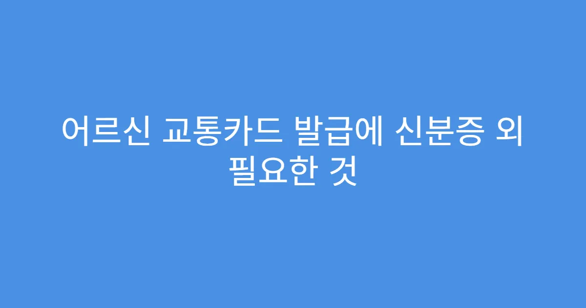 어르신 교통카드 발급에 신분증 외 필요한 것