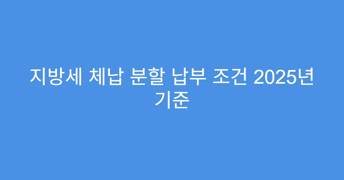 지방세 체납 분할 납부 조건 2025년 기준