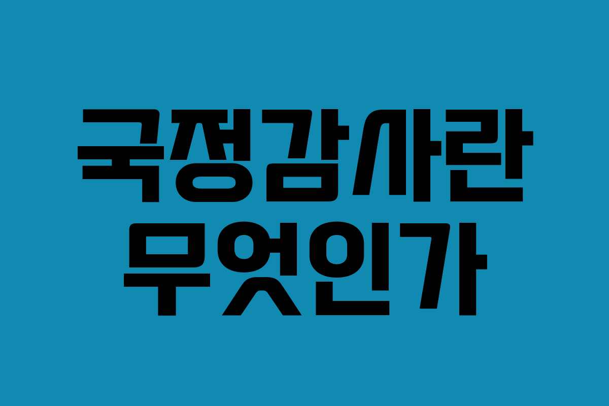 국정감사란 무엇인가