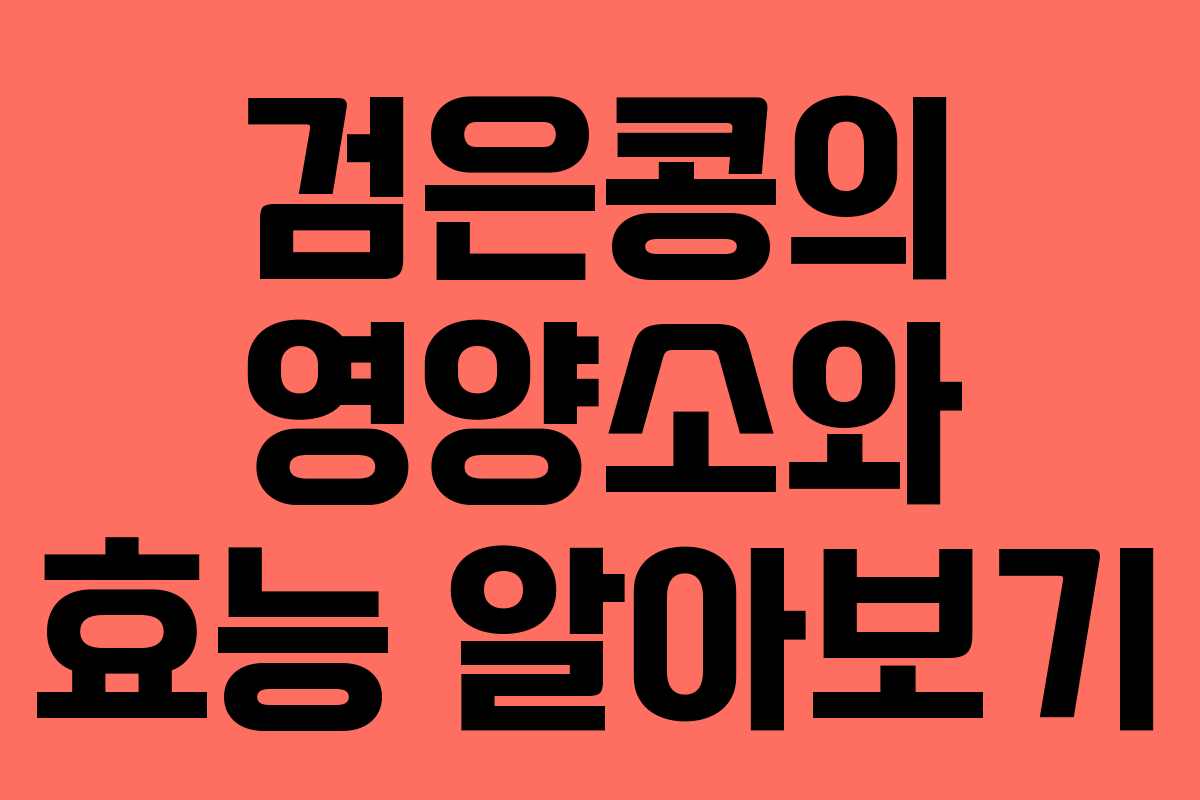 검은콩의 영양소와 효능 알아보기 검은콩의 영양소와 효능 알아보기