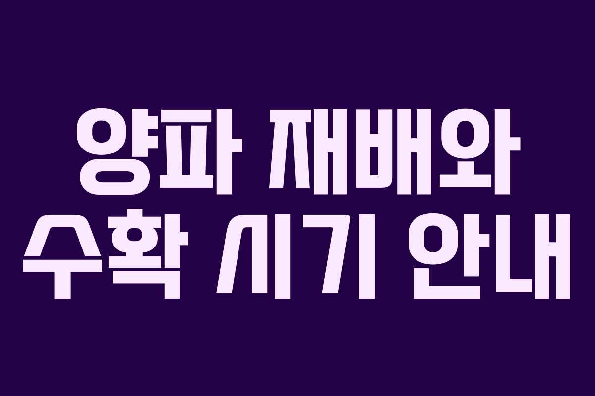 양파 재배와 수확 시기 안내 양파 재배와 수확 시기 안내