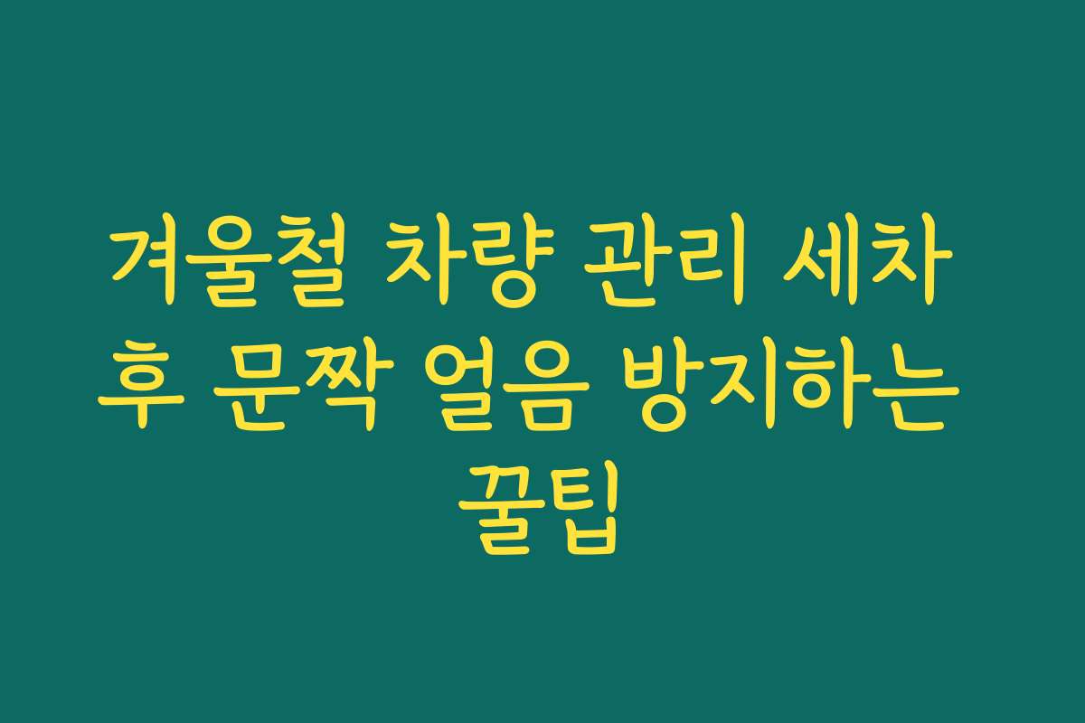 겨울철 차량 관리 세차 후 문짝 얼음 방지하는 꿀팁