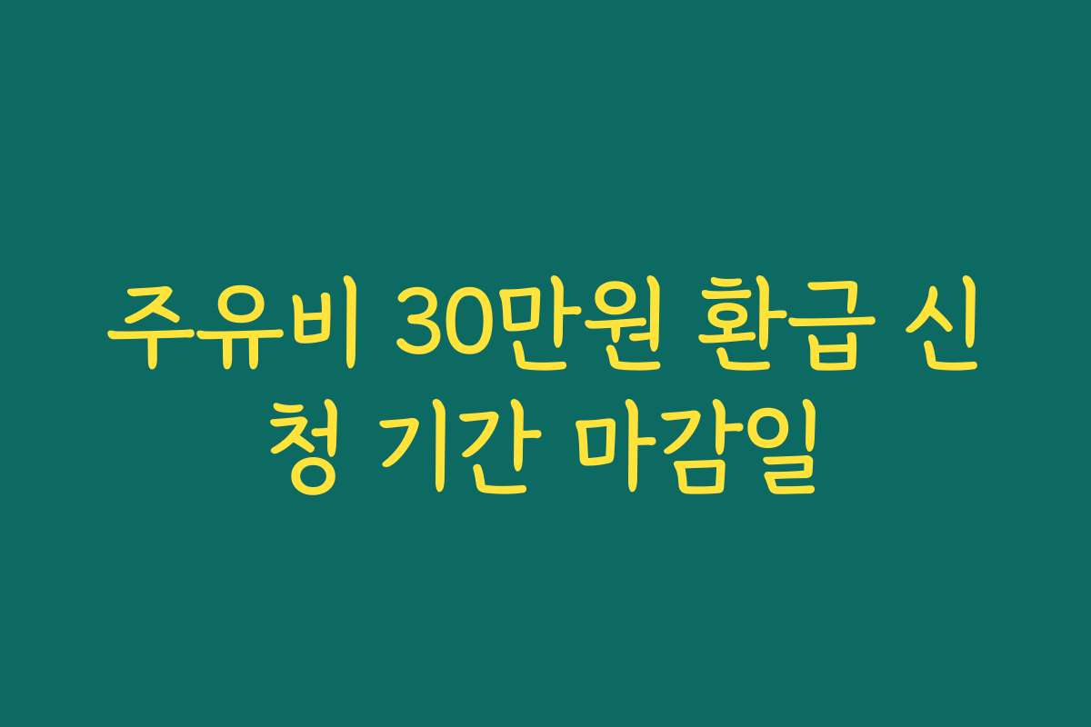 주유비 30만원 환급 신청 기간 마감일