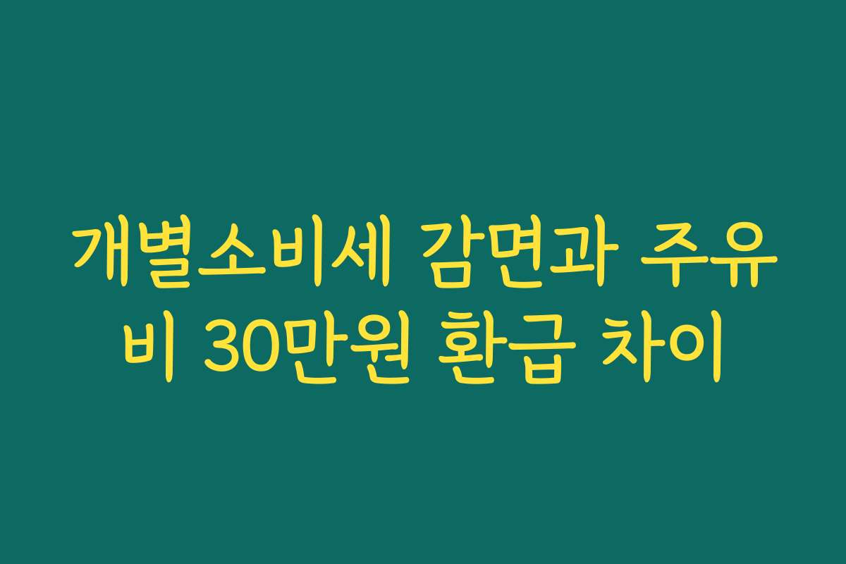 개별소비세 감면과 주유비 30만원 환급 차이