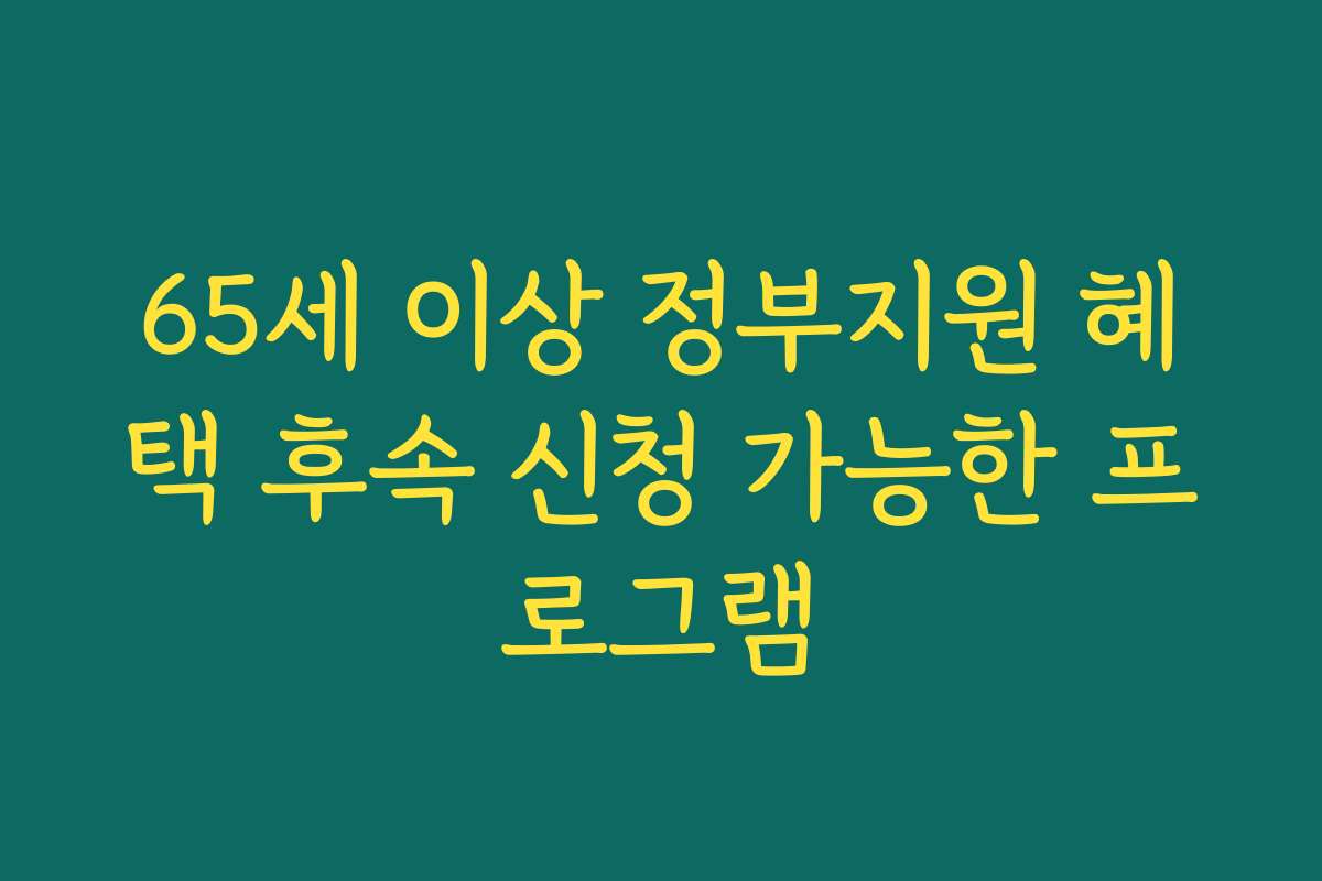 65세 이상 정부지원 혜택 후속 신청 가능한 프로그램