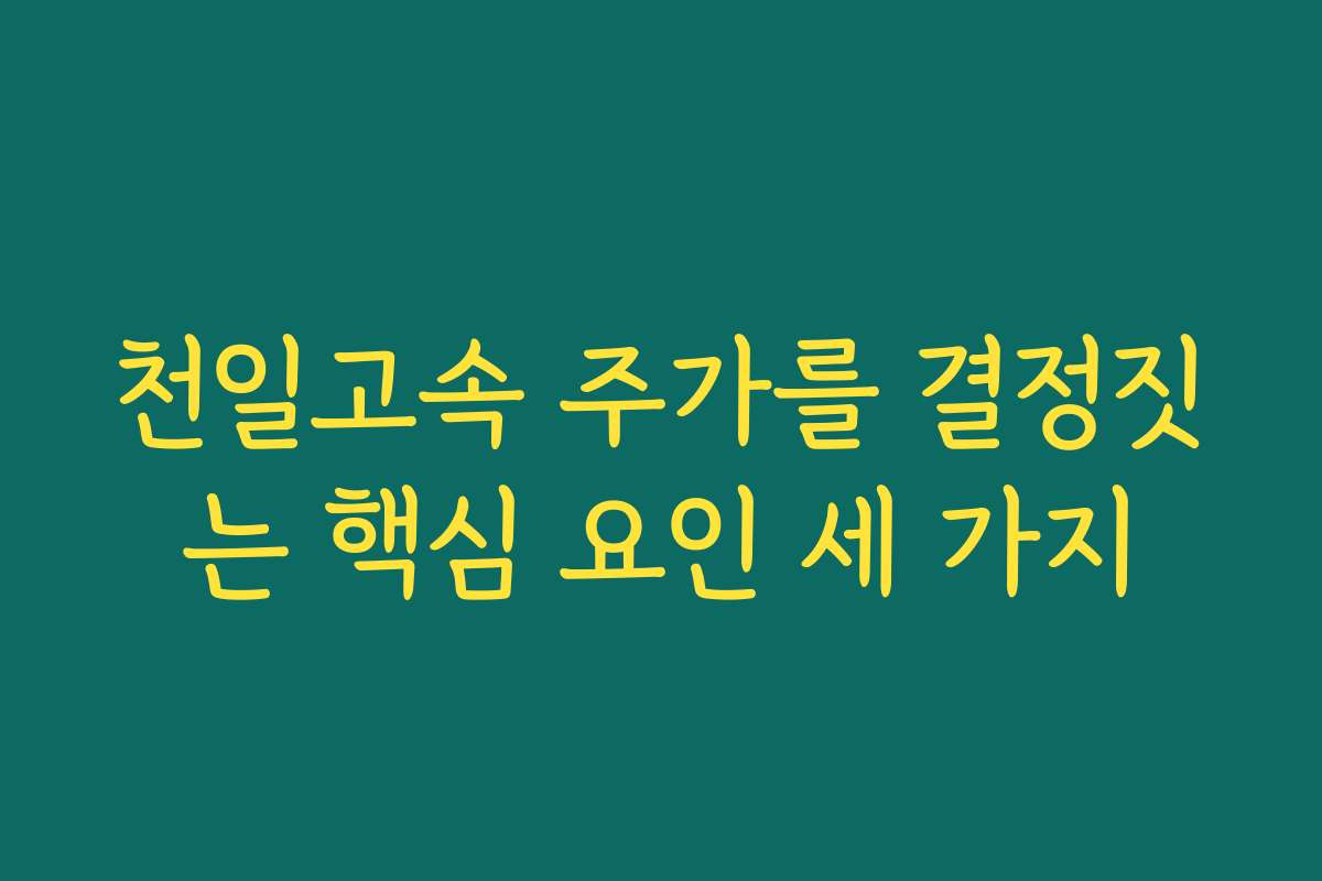 천일고속 주가를 결정짓는 핵심 요인 세 가지