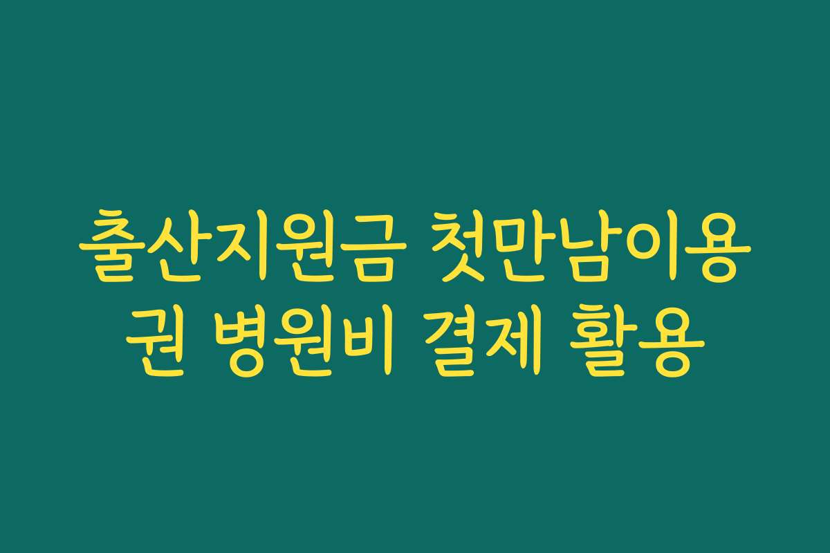 출산지원금 첫만남이용권 병원비 결제 활용