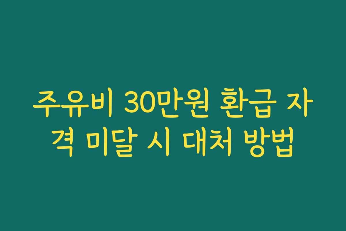 주유비 30만원 환급 자격 미달 시 대처 방법