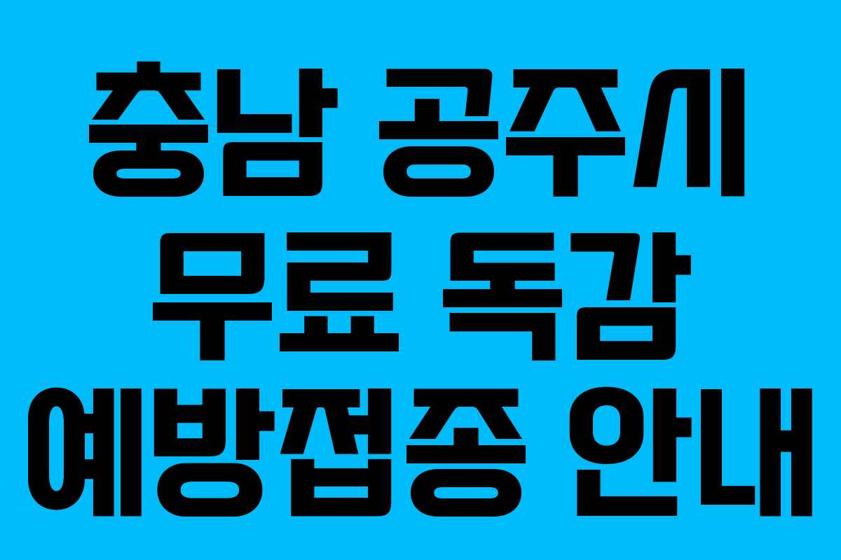 충남 공주시 무료 독감 예방접종 안내 충남 공주시 무료 독감 예방접종 안내