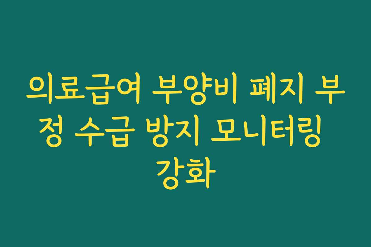 의료급여 부양비 폐지 부정 수급 방지 모니터링 강화