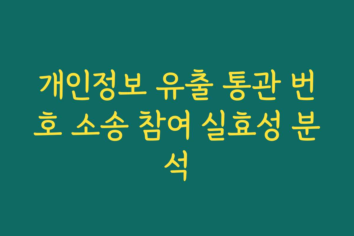 개인정보 유출 통관 번호 소송 참여 실효성 분석