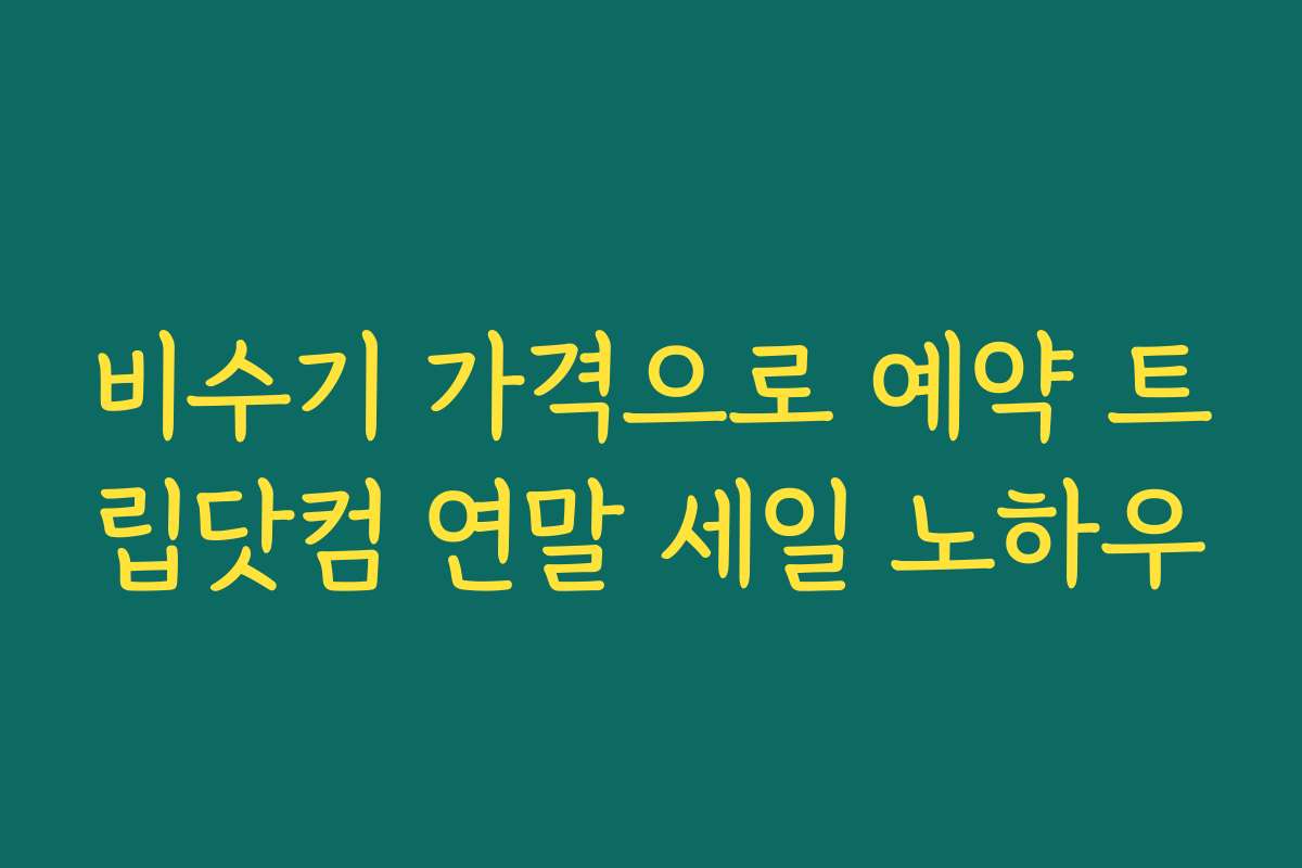 비수기 가격으로 예약 트립닷컴 연말 세일 노하우