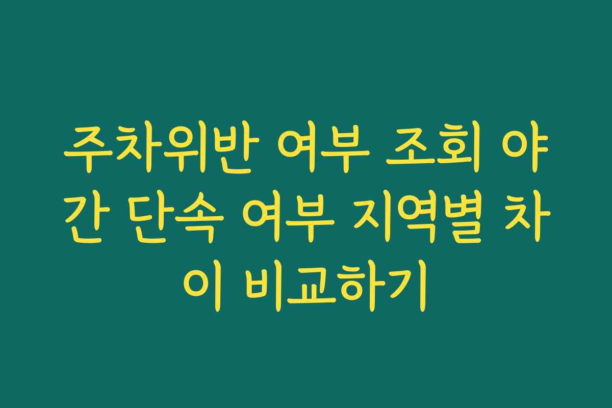 주차위반 여부 조회 야간 단속 여부 지역별 차이 비교하기
