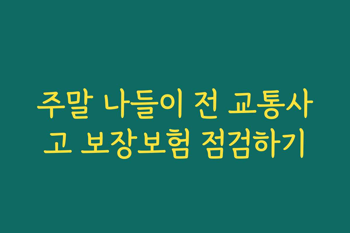 주말 나들이 전 교통사고 보장보험 점검하기