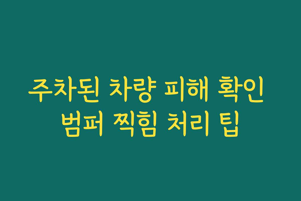 주차된 차량 피해 확인 범퍼 찍힘 처리 팁