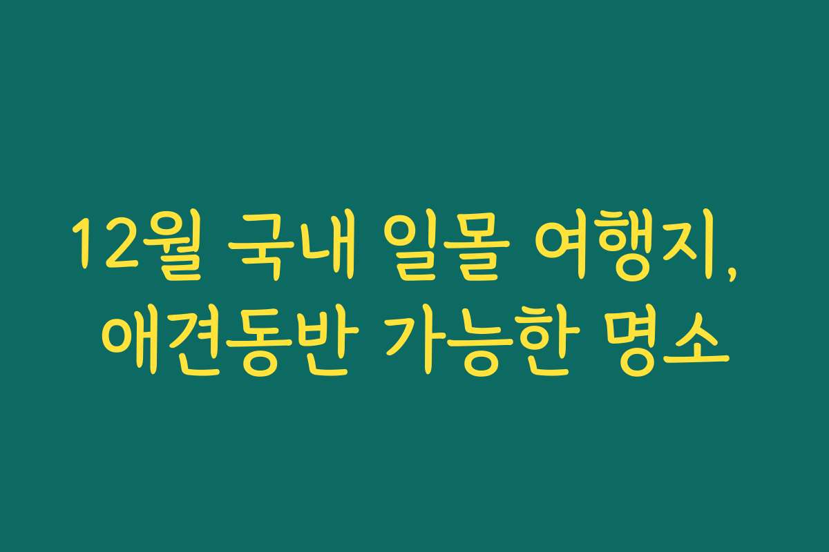 12월 국내 일몰 여행지, 애견동반 가능한 명소