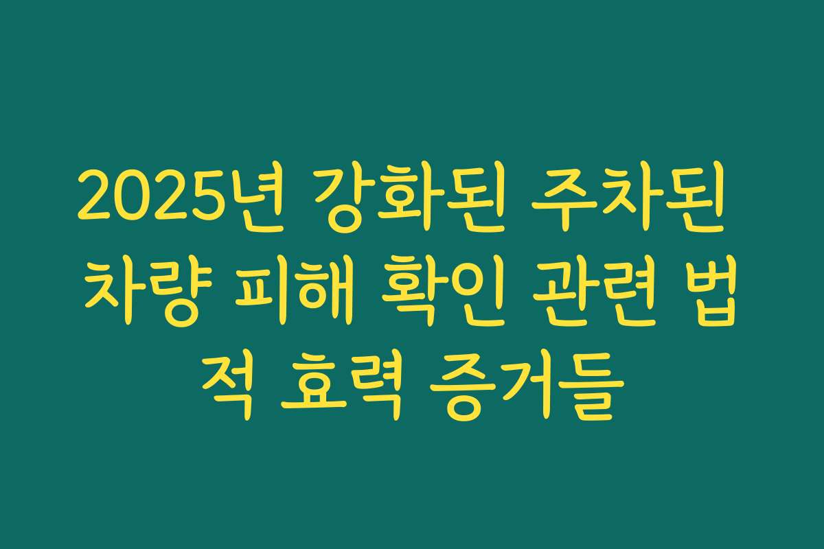 2025년 강화된 주차된 차량 피해 확인 관련 법적 효력 증거들