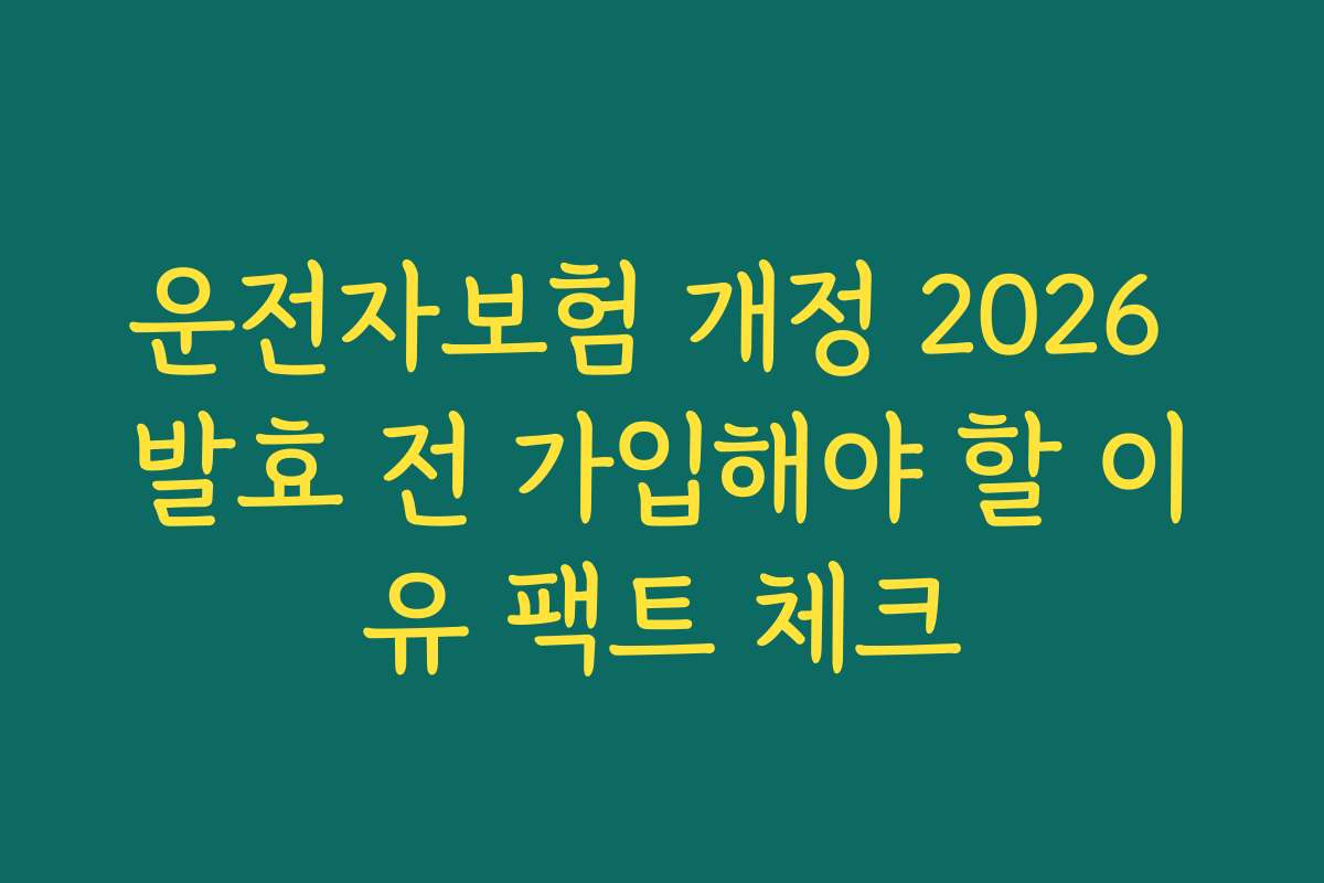운전자보험 개정 2026 발효 전 가입해야 할 이유 팩트 체크