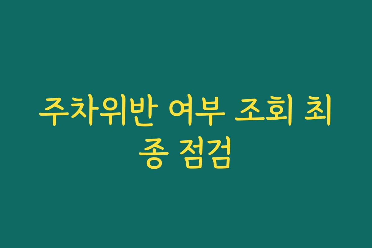 주차위반 여부 조회 최종 점검