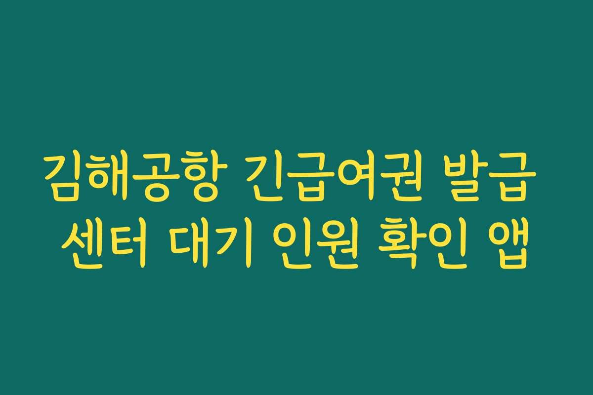 김해공항 긴급여권 발급 센터 대기 인원 확인 앱