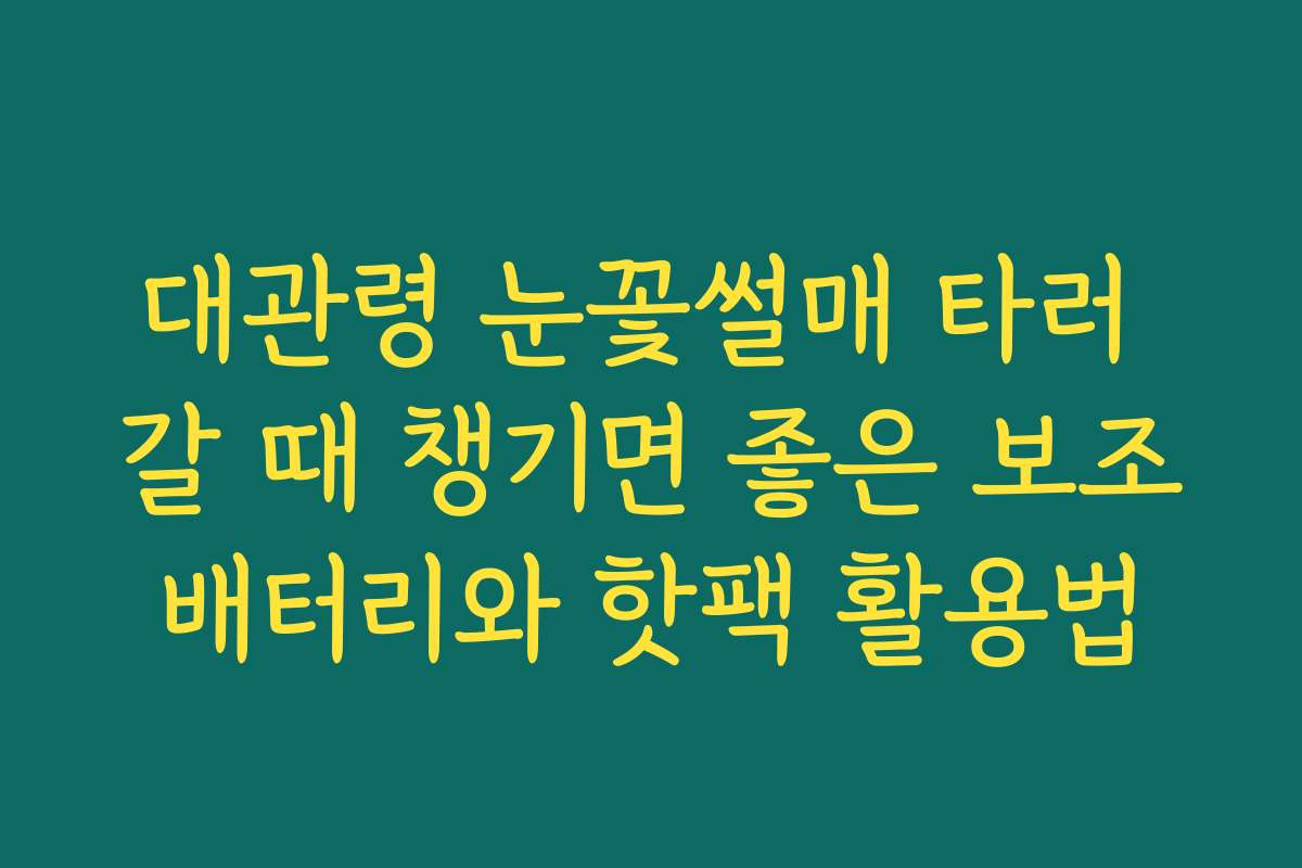 대관령 눈꽃썰매 타러 갈 때 챙기면 좋은 보조배터리와 핫팩 활용법