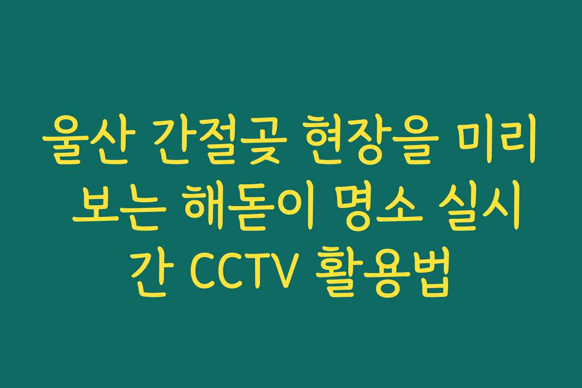 울산 간절곶 현장을 미리 보는 해돋이 명소 실시간 CCTV 활용법