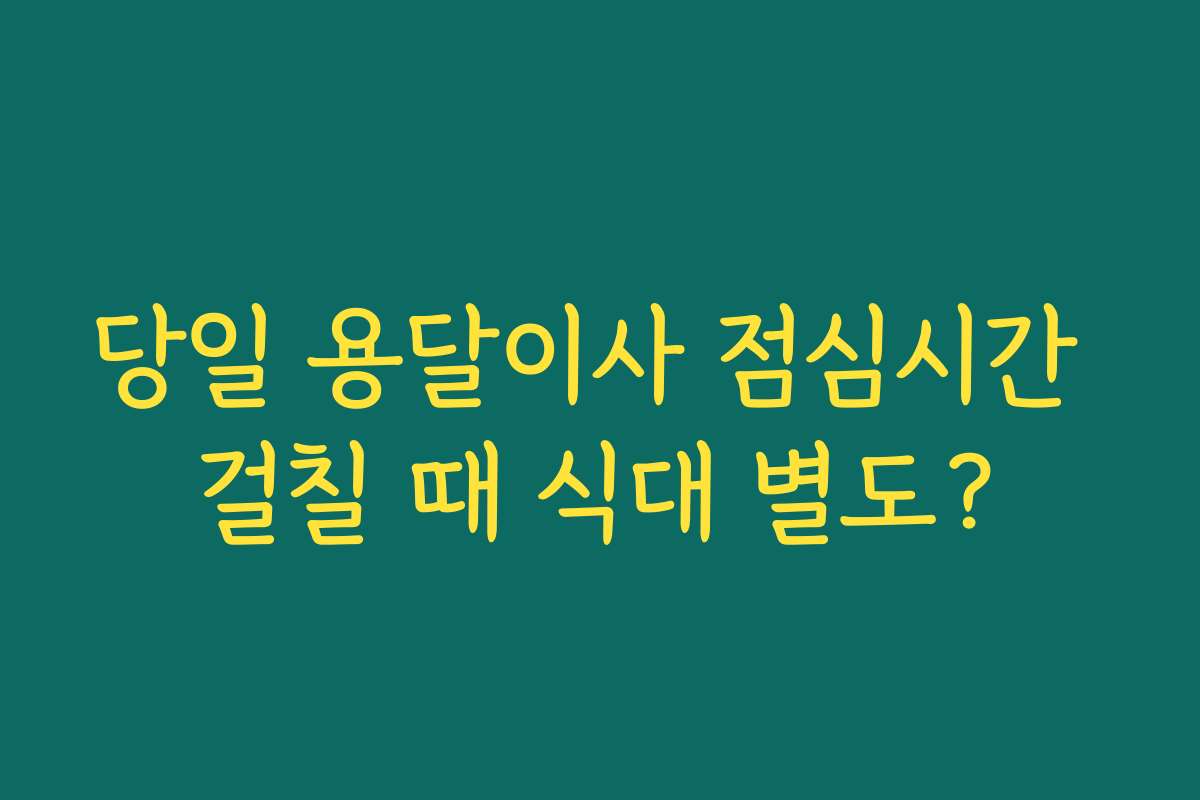 당일 용달이사 점심시간 걸칠 때 식대 별도?