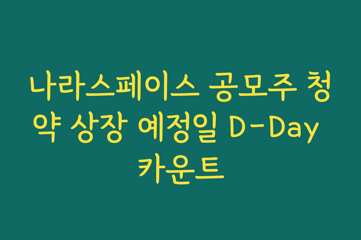 나라스페이스 공모주 청약 상장 예정일 D-Day 카운트