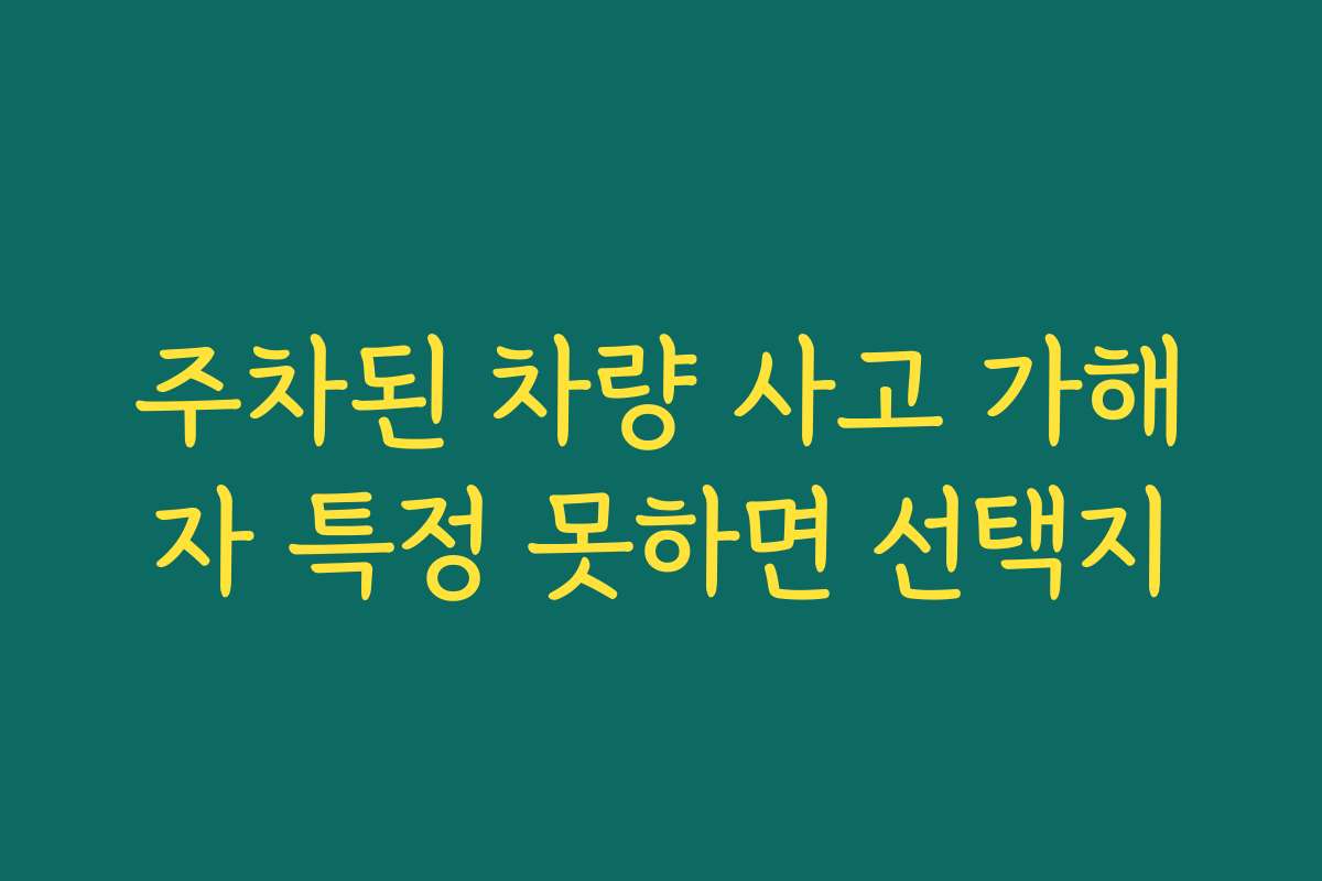주차된 차량 사고 가해자 특정 못하면 선택지