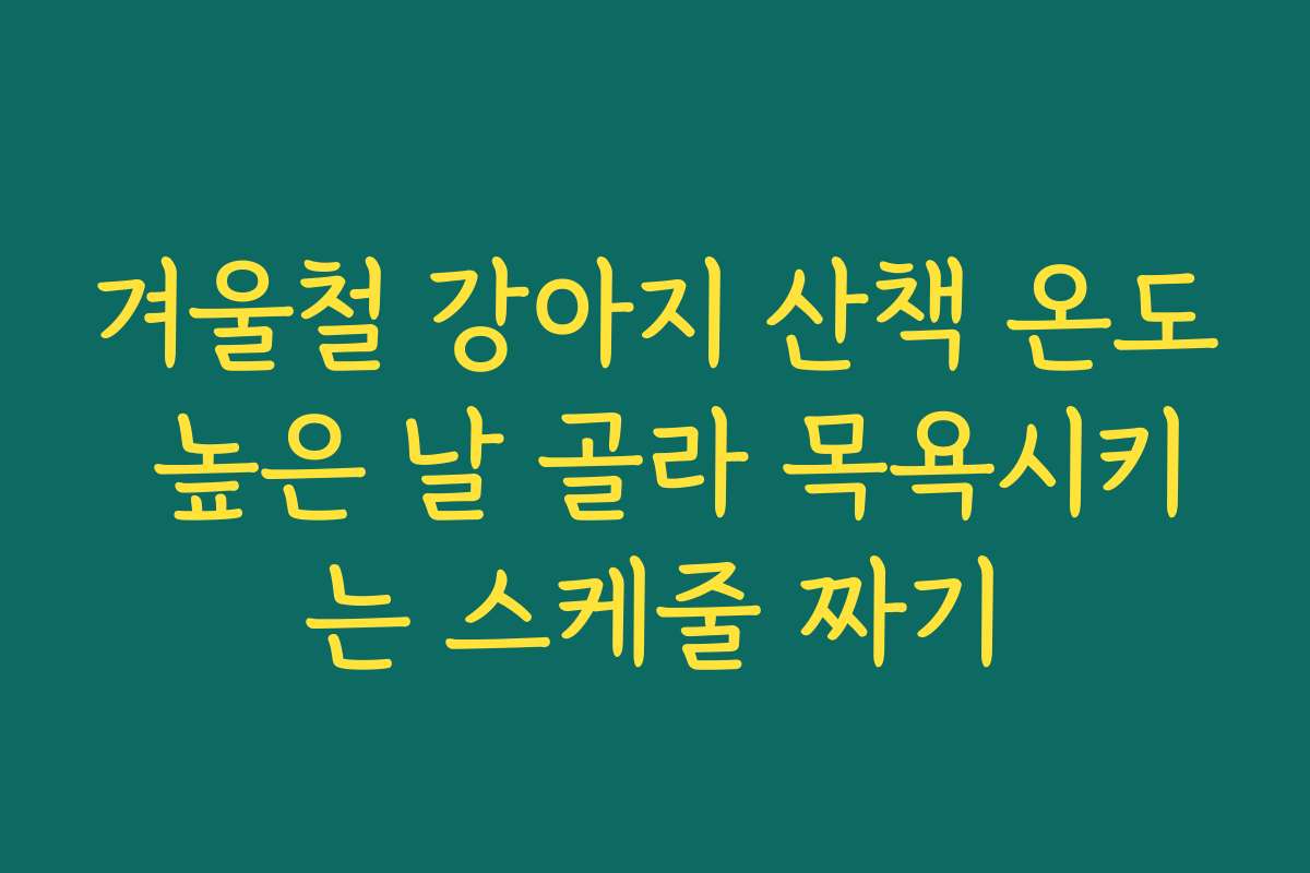 겨울철 강아지 산책 온도 높은 날 골라 목욕시키는 스케줄 짜기