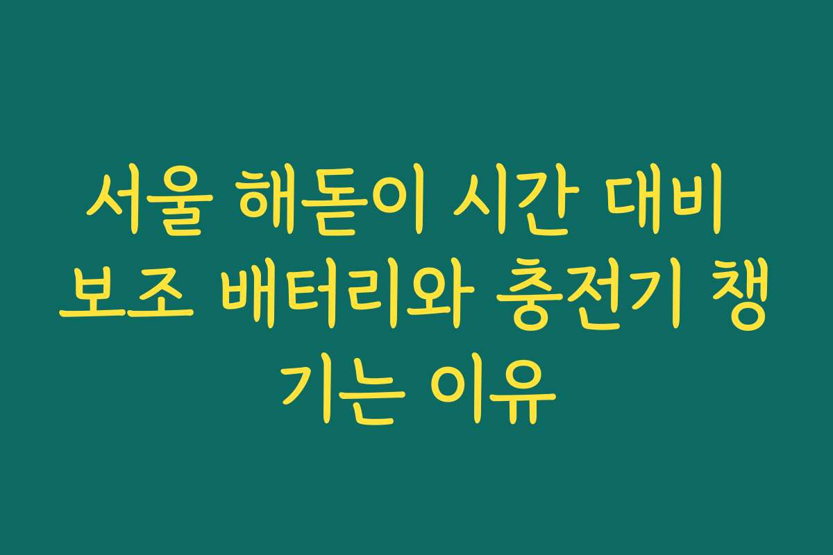 서울 해돋이 시간 대비 보조 배터리와 충전기 챙기는 이유