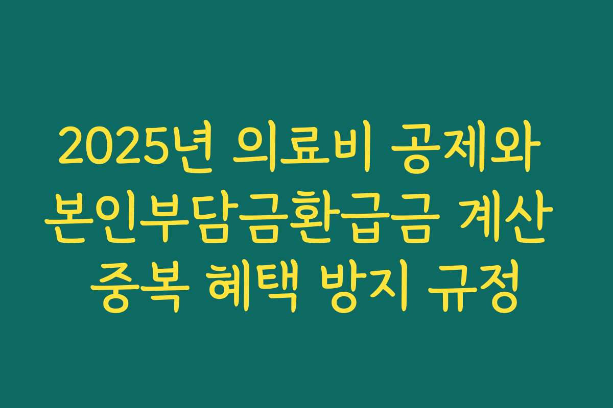 2025년 의료비 공제와 본인부담금환급금 계산 중복 혜택 방지 규정