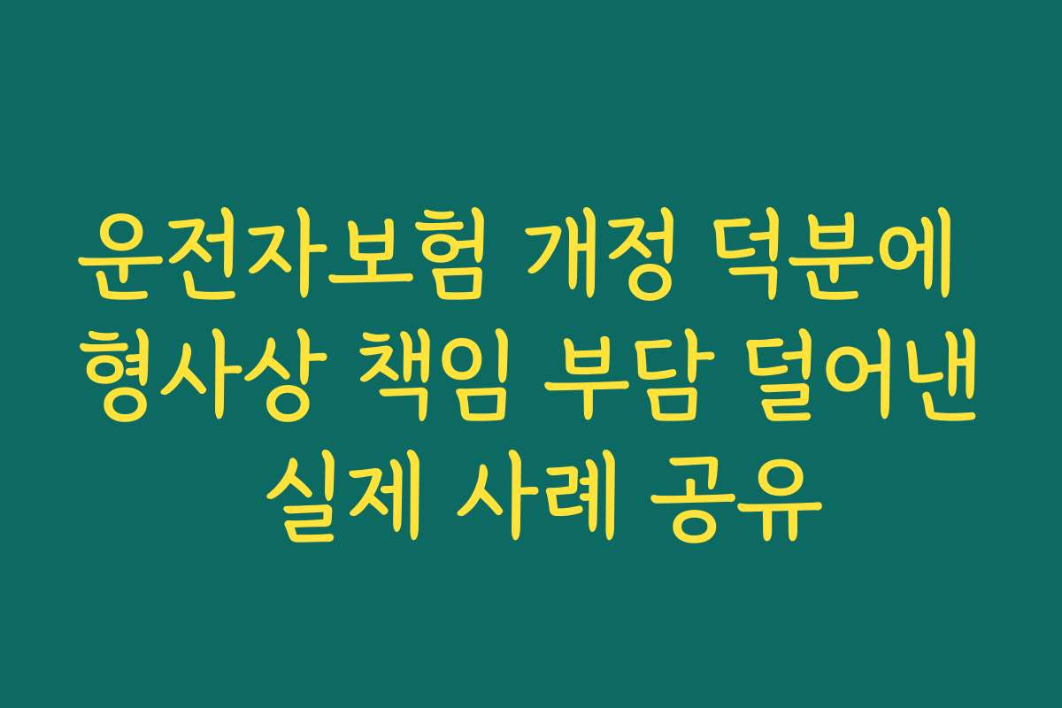운전자보험 개정 덕분에 형사상 책임 부담 덜어낸 실제 사례 공유