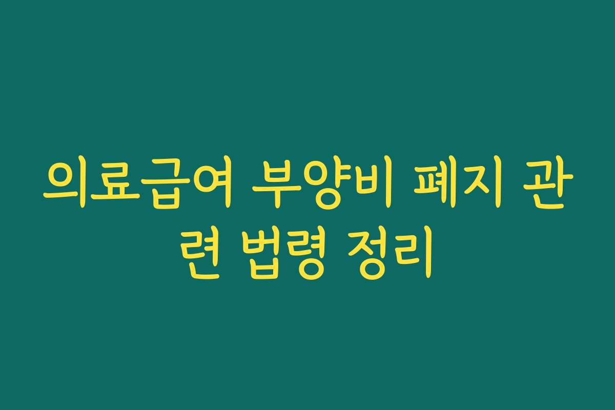 의료급여 부양비 폐지 관련 법령 정리