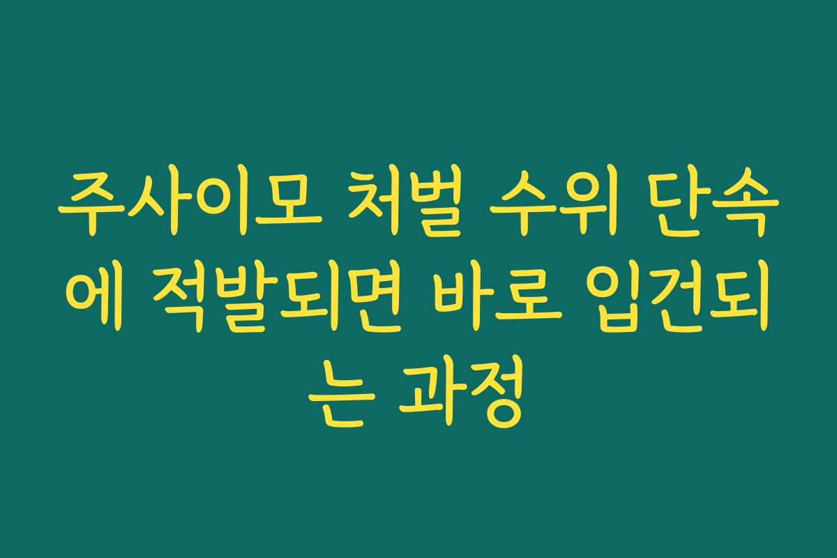 주사이모 처벌 수위 단속에 적발되면 바로 입건되는 과정