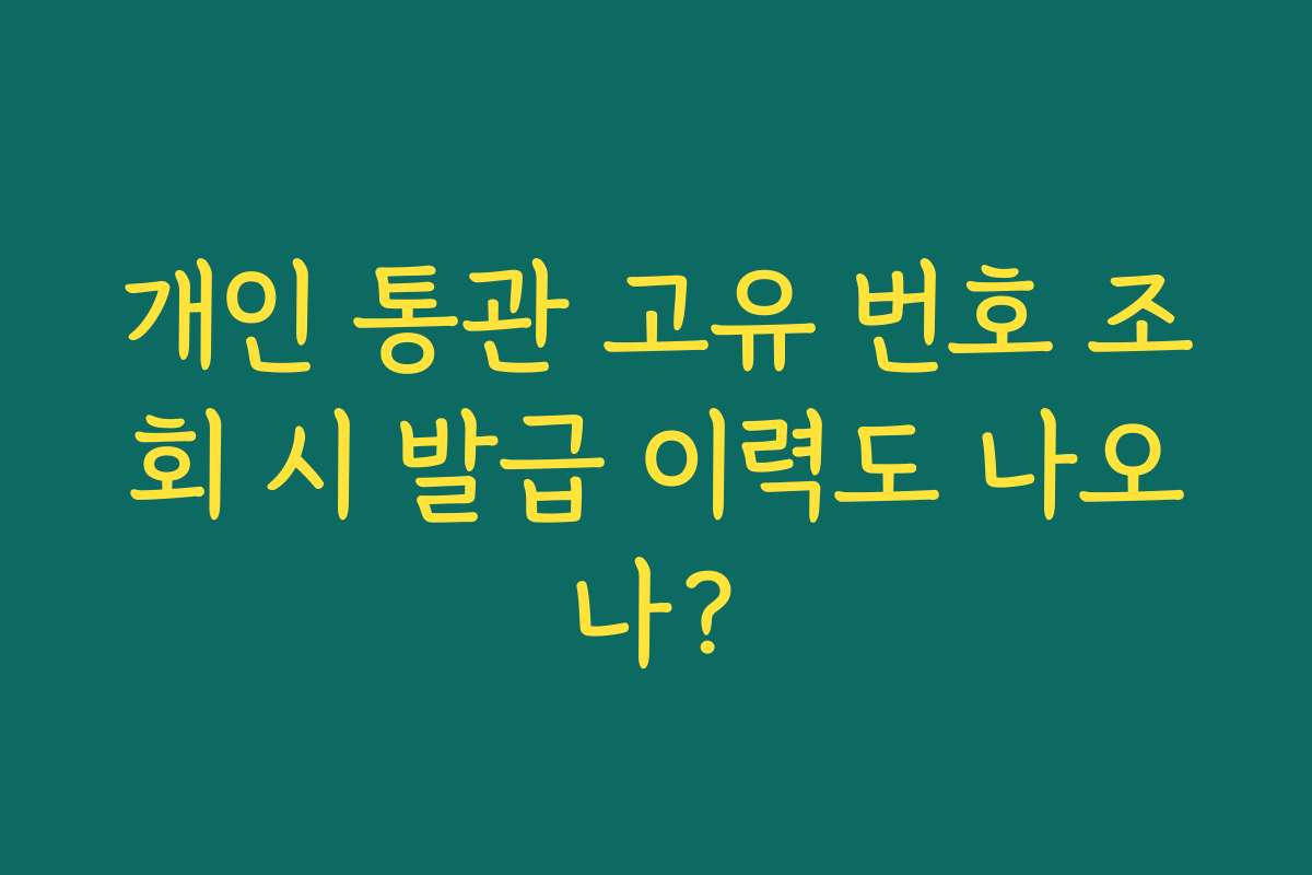 개인 통관 고유 번호 조회 시 발급 이력도 나오나?