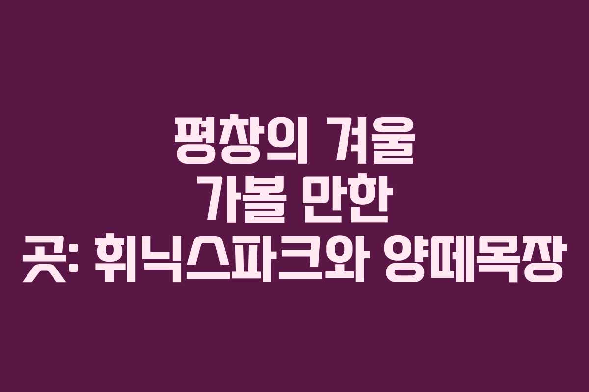 평창의 겨울 가볼 만한 곳: 휘닉스파크와 양떼목장