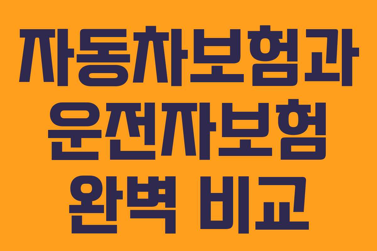 자동차보험과 운전자보험 완벽 비교