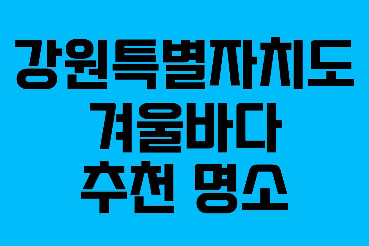 강원특별자치도 겨울바다 추천 명소