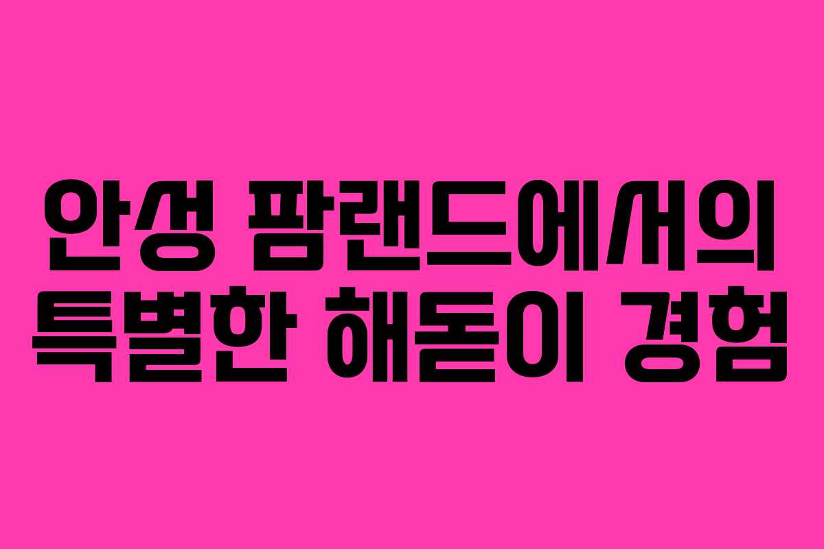 안성 팜랜드에서의 특별한 해돋이 경험