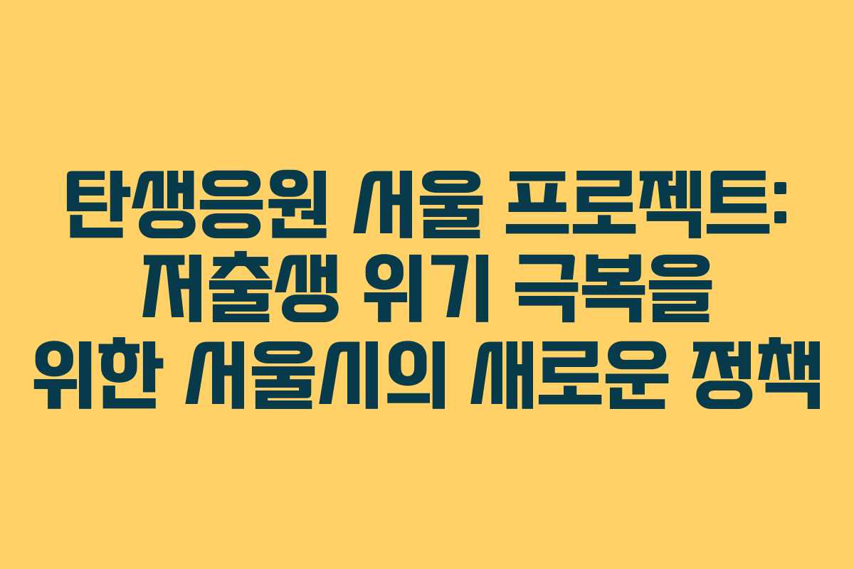 탄생응원 서울 프로젝트: 저출생 위기 극복을 위한 서울시의 새로운 정책