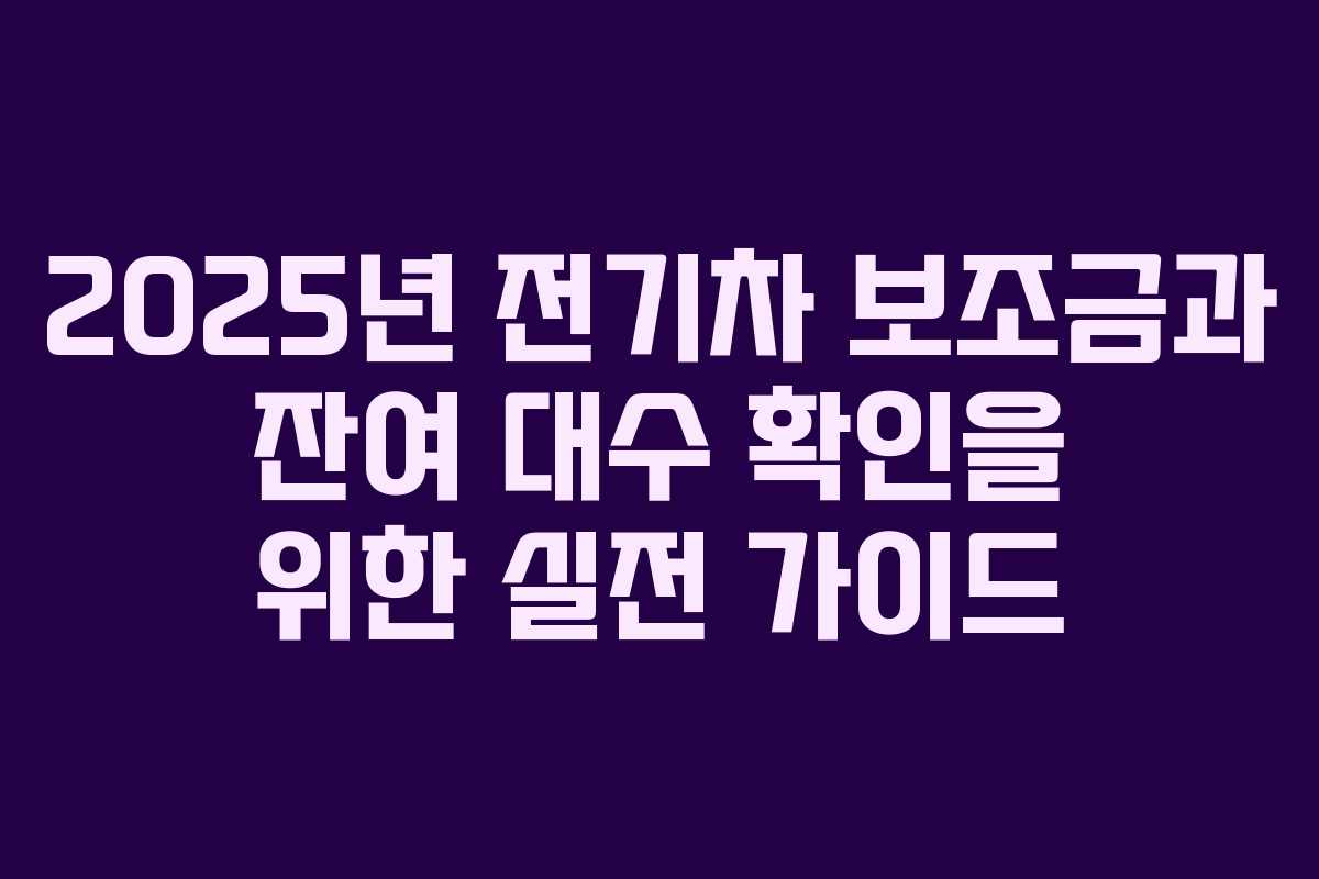 2025년 전기차 보조금과 잔여 대수 확인을 위한 실전 가이드