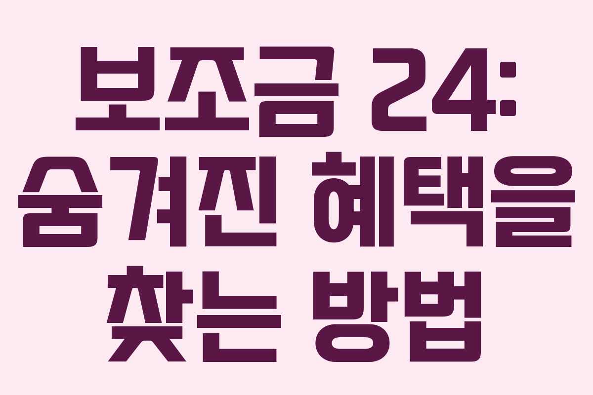 보조금 24: 숨겨진 혜택을 찾는 방법